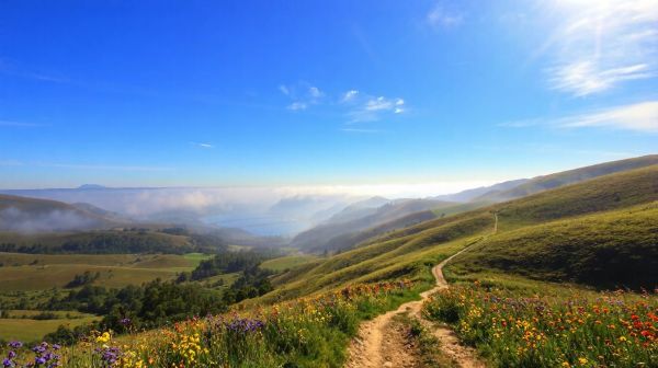 Découvrez les meilleures activités nature pour vos vacances d’été en Corrèze